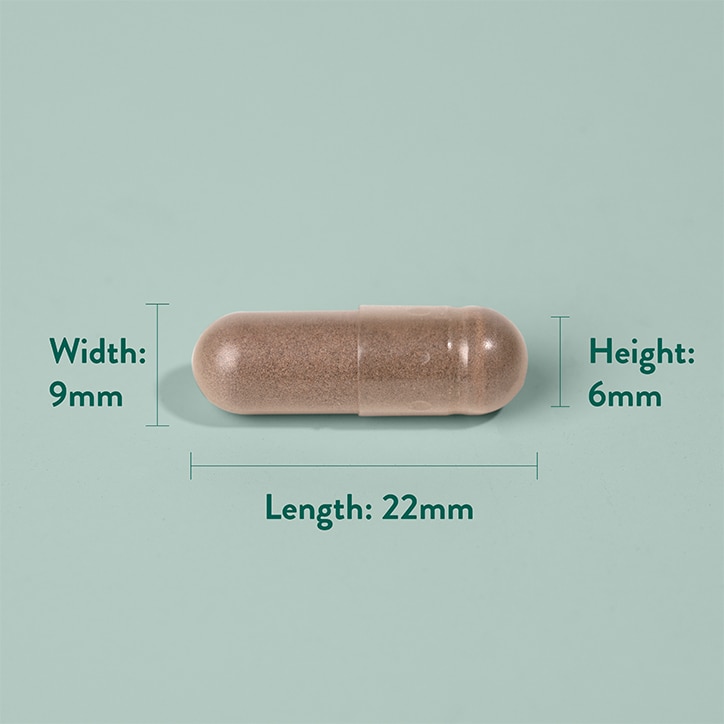 Holland & Barrett Bee Propolis 500mg 90 Capsules